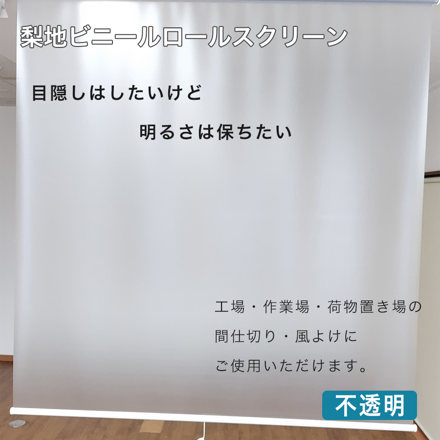 梨地ビニールロールスクリーン_目隠しはしたいけど、明るさを保ちたい