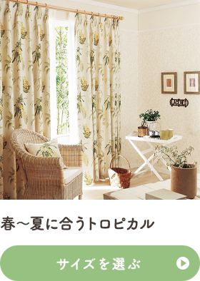 春～夏に合うトロピカル