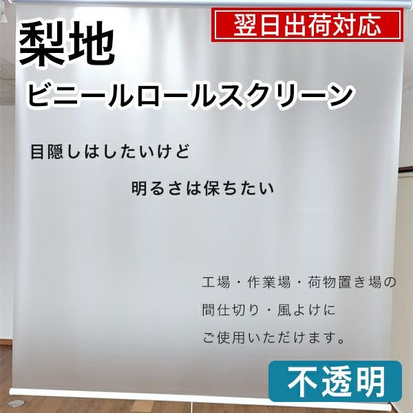 翌日出荷　梨地ビニールロールスクリーンのサムネイル画像
