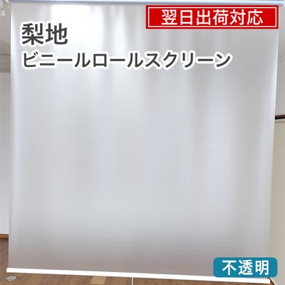 翌日出荷　梨地ビニールロールスクリーンのサムネイル画像